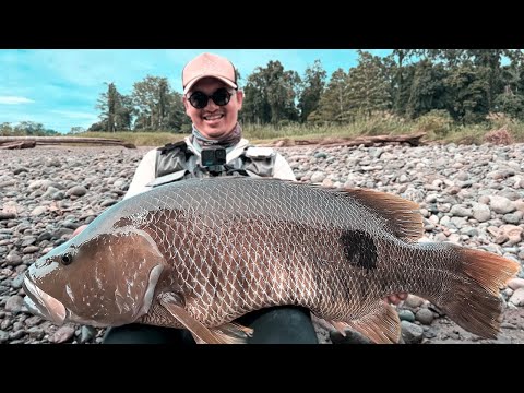 CATCH OF A LIFETIME IN EAST INDONESIA! |  FULL OF TOP WATER EXPLOSION! SPOTTAIL BASS FISHING ACADEMY