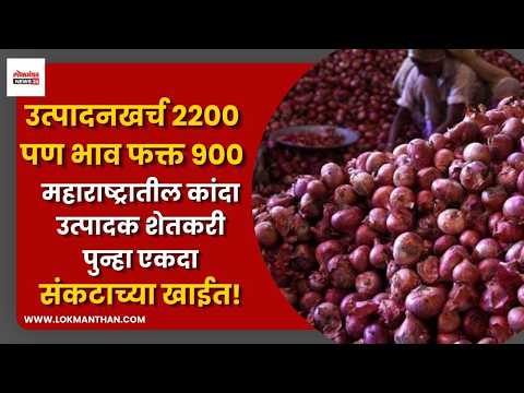 उत्पादनखर्च २२०० पण भाव फक्त ९००; महाराष्ट्रातील कांदा उत्पादक शेतकरी पुन्हा एकदा संकटाच्या खाईत!