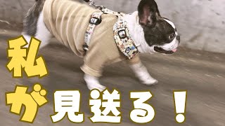 ママが久しぶりに友達と会うのでお見送りしてきた！