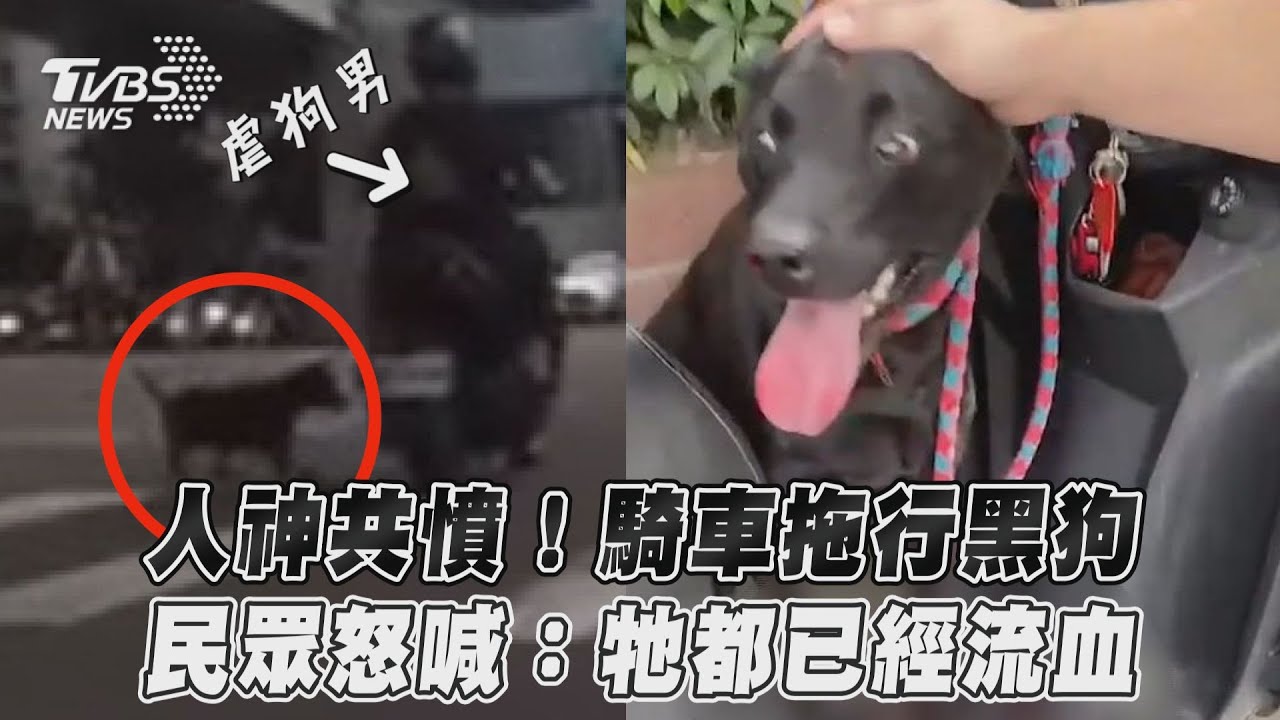 影音／人神共憤！騎車拖行黑狗　民眾怒喊：牠都已經流血