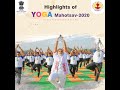 Yoga Mahotsav 2020