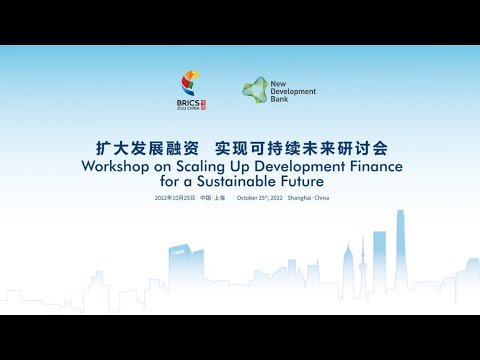 Workshop on “Scaling Up Development Finance for a Sustainable Future” Full Record