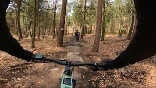 Michelstadt – MTB-Geo-Naturpark (Mi1) | Focus Thron2 | E-MTB | Trail