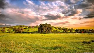 13-International Nova Ft Feleke - Love Is Gone