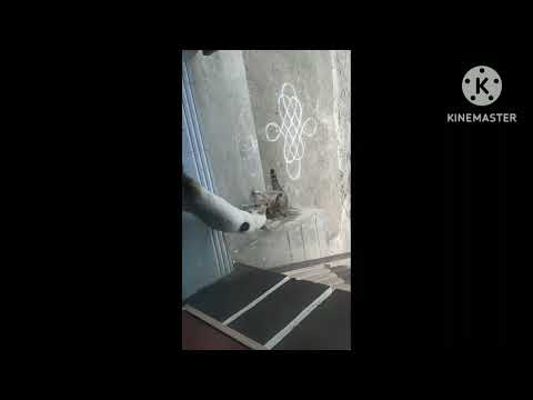 இரு பூனைகளுக்கு இடையில் உரிமைப் போராட்டம் #srisha cooking