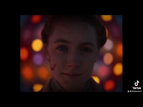 The cinematography of Robert Yeoman