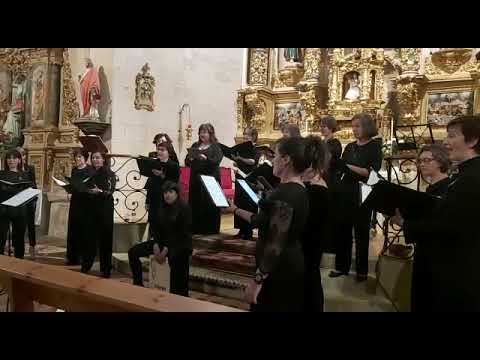 EUSKAL JOKOAK, Javier Busto