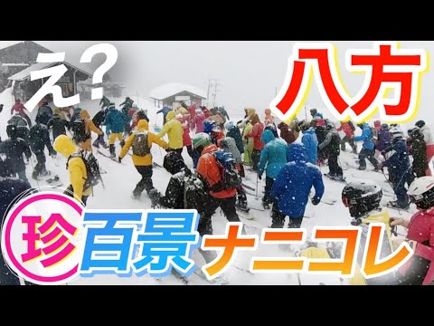 Video: 【衝撃】八方尾根で遂にパウダー！オープンから沸いたスキー場レポート12/18| Happo-one Japan snow resort