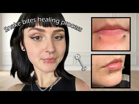 Snake bites piercing | healing & experience | Why I took them out