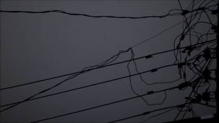 Can   She Brings The Rain HD