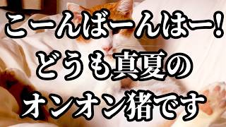 雑談　➡　ダクソ3やってみよう！！