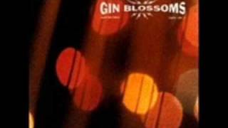 Gin Blossoms-Seeing Stars (live)