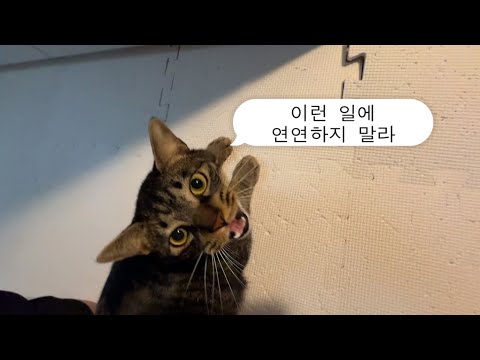 사소한 일에 연연하지 말라