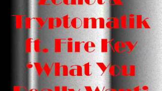 Zealot & Tryptomatik ft. Fire Key - What You Really Want