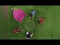 Barney Song Ring Around The Rosie Circle Of Friends