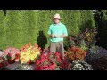 Plants And Flowers 2012 Standout Performers Part 1