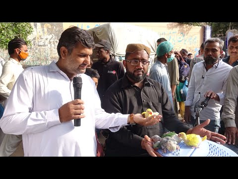 Birds Market Lalukhet Sunday Video Latest Update 30-1-22 in Urdu/Hindi.