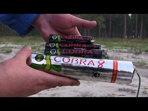 download lagu mp3 mp4 Cobra 6, download lagu Cobra 6 gratis, unduh video klip Cobra 6