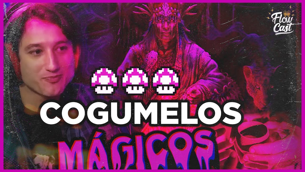 BRUNO BOCK COGUMELOS MÁGICOS - Inteligência Ltda. Podcast FLOW CAST