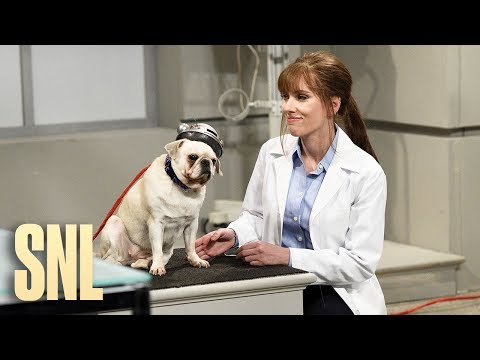 Another Translator - SNL