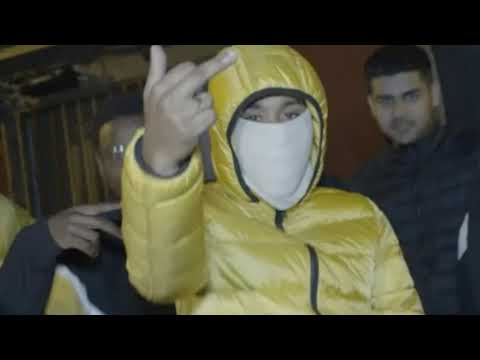 TANITO 930 - PERROS CALLEJEROS