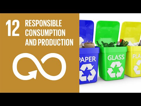 UN Sustainable Development Goals | Responsible Consumption and Production (12)