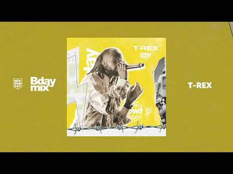 DJ Ritchelly - @TRextoytoytrex  (Birthday Audio Mix 2024) (Audio Mix)