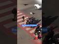 Stray dog protects kids crossing the street ❤️