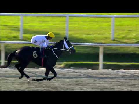 220522 c05 LITTLE STUART (BRZ)