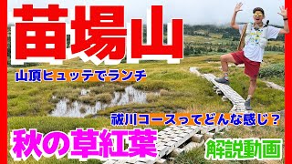 [Autumn foliage season has arrived] Mt. Naeba in autumn, where you can hike for a day from the Ka...