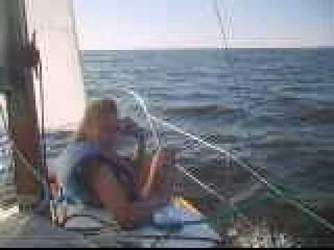 Zalew Szczeciński - MIŚ