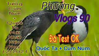 Download lagu Tiếng Cúm Núm   Quốc Ta Mới Nhất 2021 ( File Đang Ăn Chim Mạnh Nhất Hiện Nay )_Phương vlogs 90 mp3
