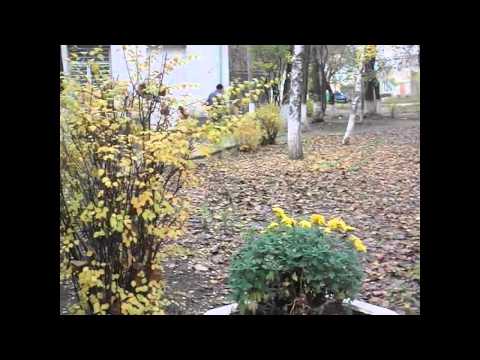 Liceul Dante Alighieri- elevi și profesori