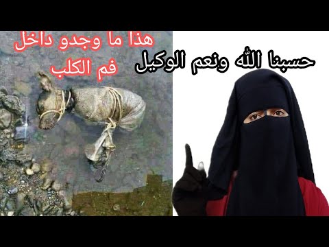 تم العثور على كلب مربوط وفيه سحر حسبنا الله ونعم الوكيل