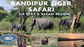 Bandipur National Park | JLR Stay and Safari | Leopard spotting