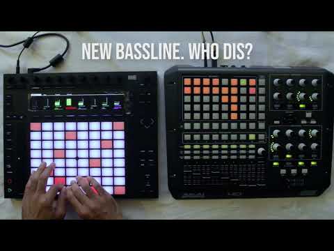 Ableton Live Push 2 & APC40 Performance | EP.03 | Arp You Crazy?!