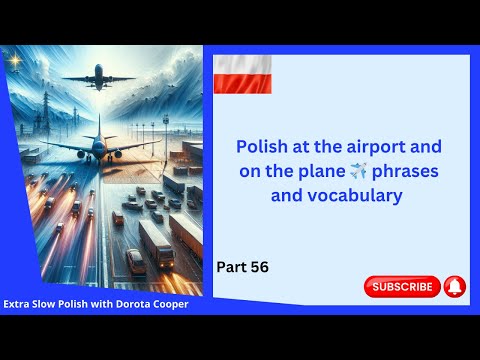 Polish at the airport tickets, and baggage ✈️ phrases and words - At the airport Polish. Part 56