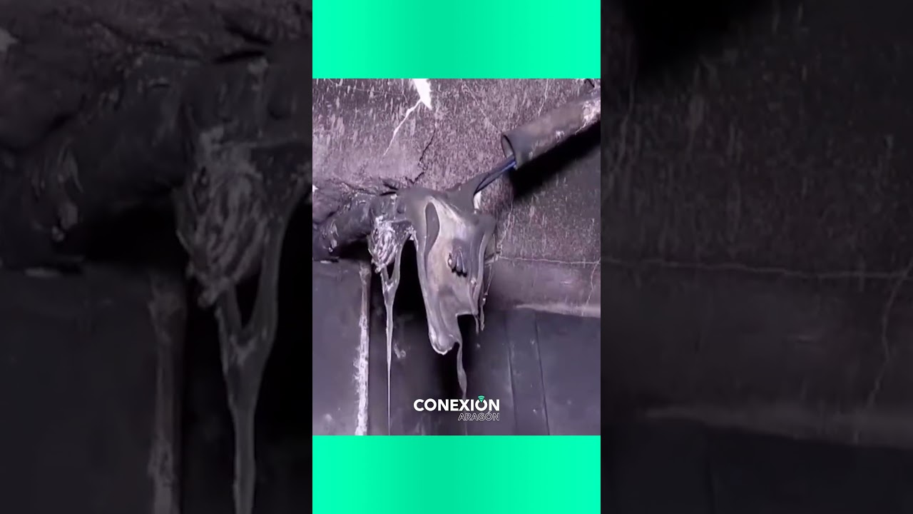 Un incendio calcina tres coches en un garaje