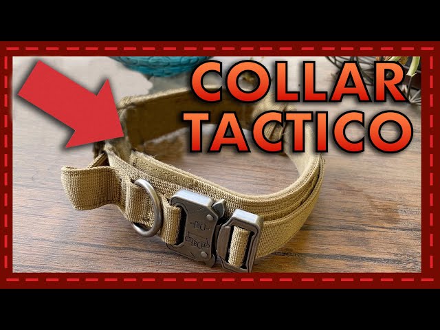 Vídeo relacionado con Collar de Perro Clip de plástico Marvel Retro Comic Paneles Negro Amarillo 8 a 12 Pulgadas 0.5 Pulgadas de Ancho