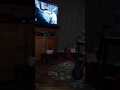 Dog Watches 102 Dalmatian