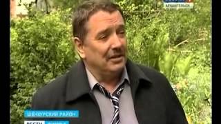 Областной про маточник