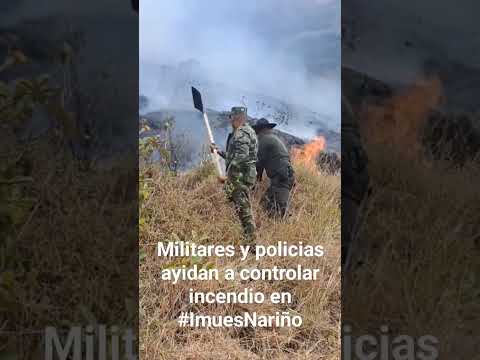 Apagando incendio forestal en Imues, Nariño