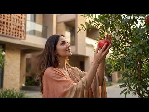 Video Ad 3