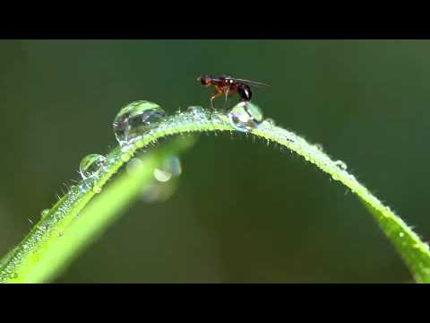 Wenn sich Menschen begegnen - Gemeinsam entscheiden (Teil 2 von 5)