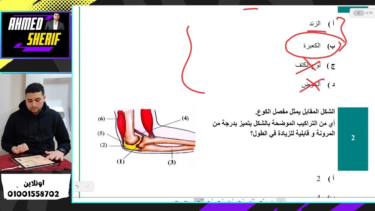 تالتة ثانوي نصيحة مهمة وتحليل النموذج الاسترشادي الاول 2026