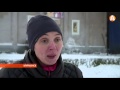 В канун Нового года 200 собак и кошек в Мурманске могут остаться без корма 18 ...