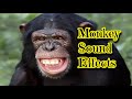 Monkey Sound Effects
