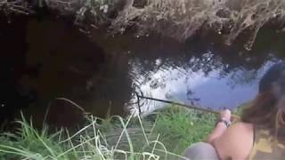 preview picture of video 'NEWZEALAND EEL HUNTING in Raetihi     from YAMA'