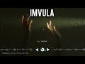 Dj Maphorisa X Mas Musiq X Dj Njebza Imvula Official Visualizer Ft Tracy Nia Pearl