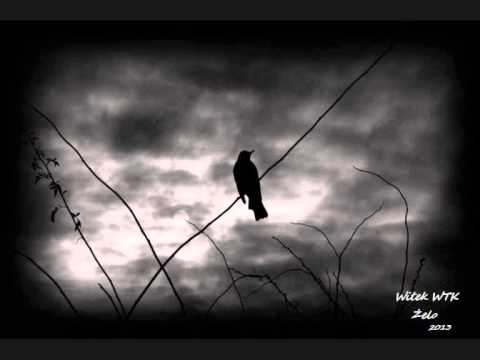 Witek WTK, Żelo-Postawa Skurwiela